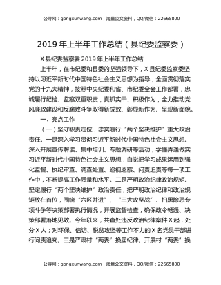 2019年上半年工作总结（县纪委监察委）