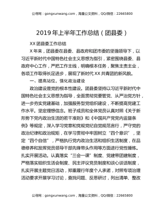2019年上半年工作总结（团县委）