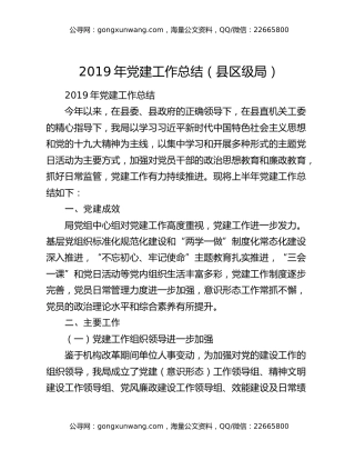 2019年党建工作总结（县区级局）