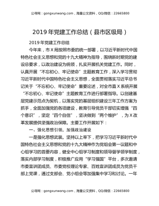 2019年党建工作总结（县市区级局）（2）