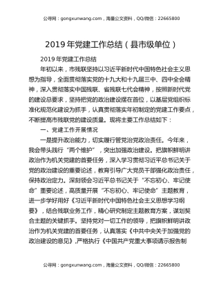 2019年党建工作总结（县市级单位）