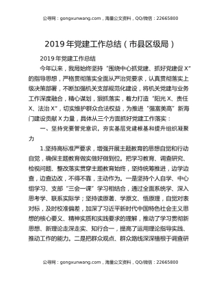 2019年党建工作总结（市县区级局）