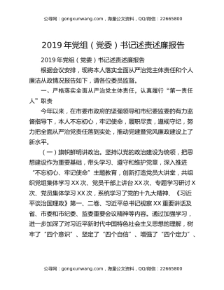 2019年党组（党委）书记述责述廉报告