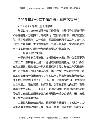 2019年办公室工作总结（县市区级局）