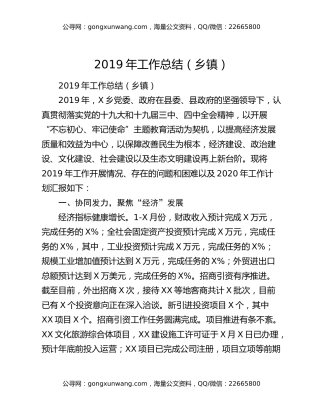 2019年工作总结（乡镇）