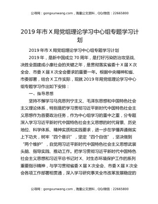 2019年市X局党组理论学习中心组专题学习计划