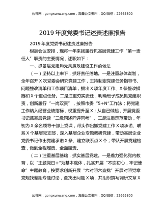 2019年度党委书记述责述廉报告