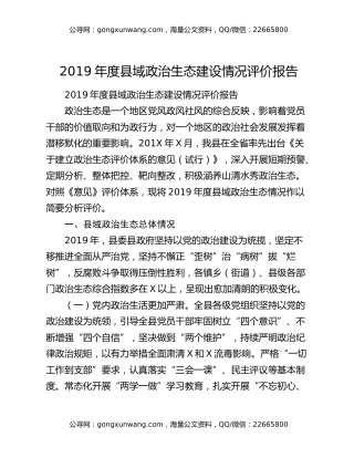 2019年度县域政治生态建设情况评价报告