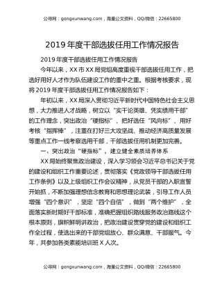 2019年度干部选拔任用工作情况报告