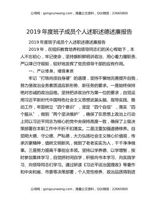 2019年度班子成员个人述职述德述廉报告