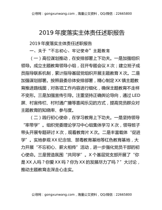 2019年度落实主体责任述职报告