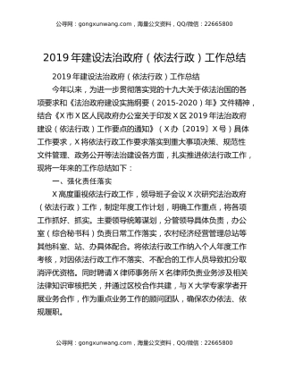 2019年建设法治政府（依法行政）工作总结