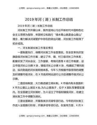 2019年河（湖）长制工作总结
