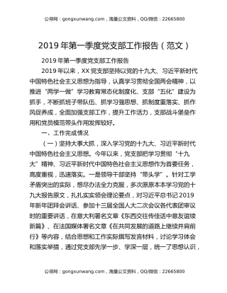 2019年第一季度党支部工作报告（范文）