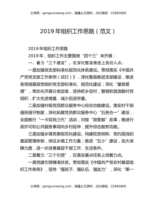 2019年组织工作思路（范文）