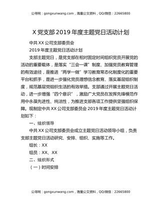 X党支部2019年度主题党日活动计划