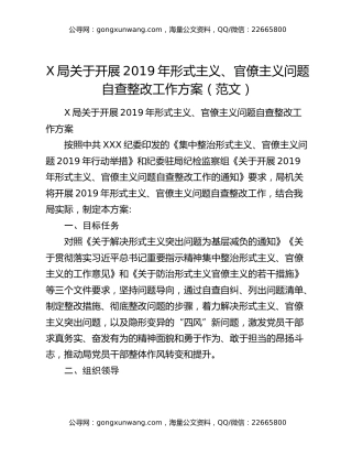 X局关于开展2019年形式主义、官僚主义问题自查整改工作方案（范文）