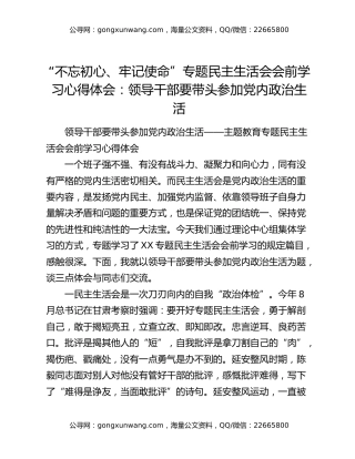 “不忘初心、牢记使命”专题民主生活会会前学习心得体会：领导干部要带头参加党内政治生活