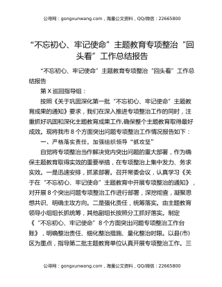 “不忘初心、牢记使命”主题教育专项整治“回头看”工作总结报告