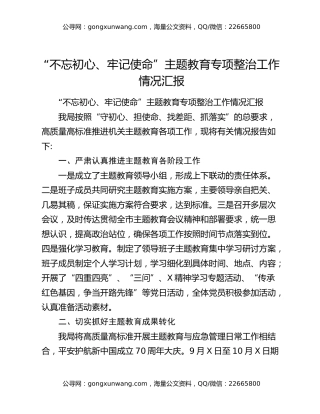 “不忘初心、牢记使命”主题教育专项整治工作情况汇报