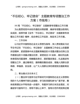 “不忘初心、牢记使命”主题教育专项整治工作方案（市级局）