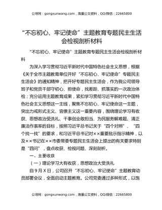 “不忘初心、牢记使命”主题教育专题民主生活会检视剖析材料
