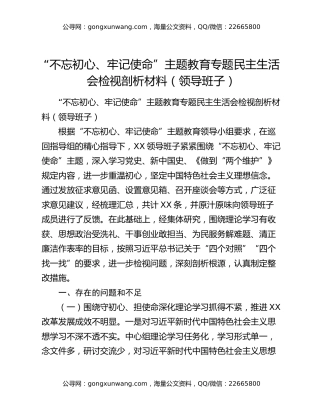 “不忘初心、牢记使命”主题教育专题民主生活会检视剖析材料（领导班子）