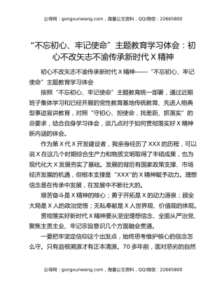 “不忘初心、牢记使命”主题教育学习体会：初心不改矢志不渝传承新时代X精神