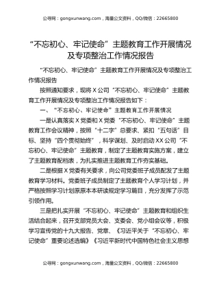 “不忘初心、牢记使命”主题教育工作开展情况及专项整治工作情况报告