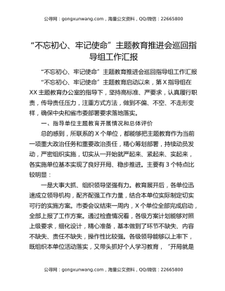 “不忘初心、牢记使命”主题教育推进会巡回指导组工作汇报