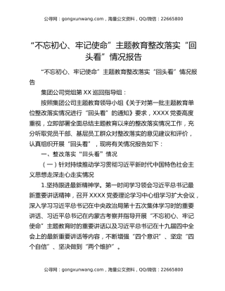 “不忘初心、牢记使命”主题教育整改落实“回头看”情况报告