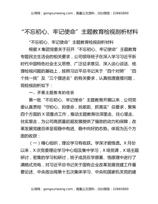 “不忘初心、牢记使命”主题教育检视剖析材料
