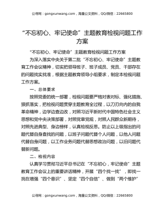 “不忘初心、牢记使命”主题教育检视问题工作方案（2）