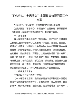 “不忘初心、牢记使命”主题教育检视问题工作方案（3）