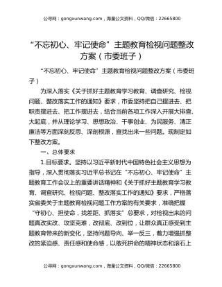 “不忘初心、牢记使命”主题教育检视问题整改方案（市委班子）