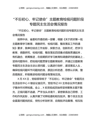 “不忘初心、牢记使命”主题教育检视问题阶段专题民主生活会情况报告
