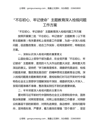 “不忘初心、牢记使命”主题教育深入检视问题工作方案