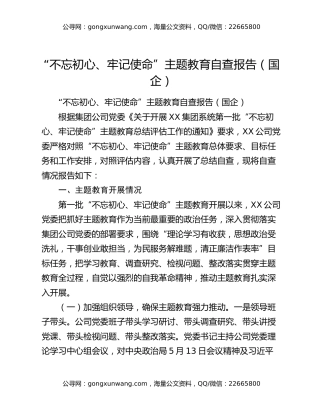 “不忘初心、牢记使命”主题教育自查报告（国企）