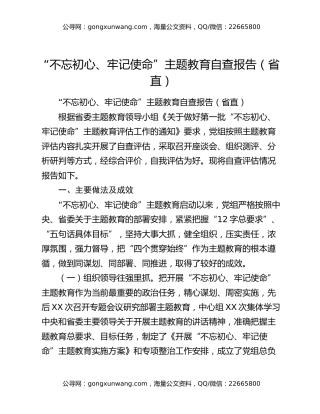 “不忘初心、牢记使命”主题教育自查报告（省直）
