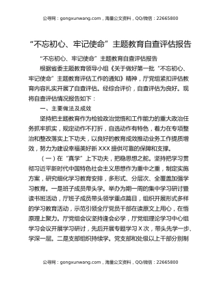 “不忘初心、牢记使命”主题教育自查评估报告