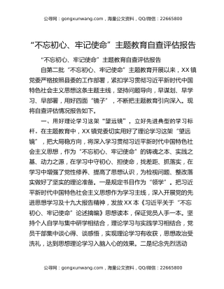 “不忘初心、牢记使命”主题教育自查评估报告2