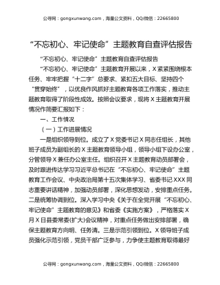 “不忘初心、牢记使命”主题教育自查评估报告3