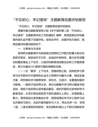 “不忘初心、牢记使命”主题教育自查评估报告（2）
