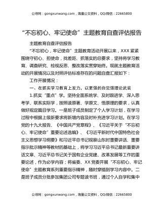 “不忘初心、牢记使命”主题教育自查评估报告（3）