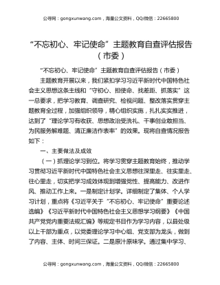 “不忘初心、牢记使命”主题教育自查评估报告（市委）