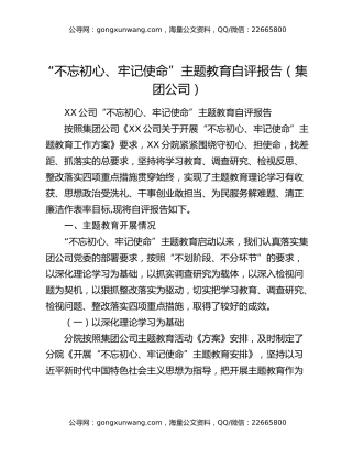“不忘初心、牢记使命”主题教育自评报告（集团公司）