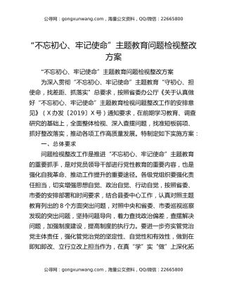 “不忘初心、牢记使命”主题教育问题检视整改方案