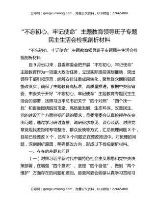“不忘初心、牢记使命”主题教育领导班子专题民主生活会检视剖析材料