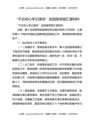 “不忘初心牢记使命”巡回指导组汇报材料