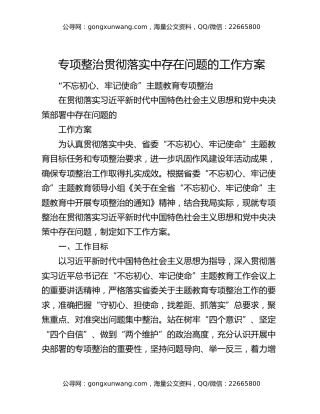 专项整治贯彻落实中存在问题的工作方案